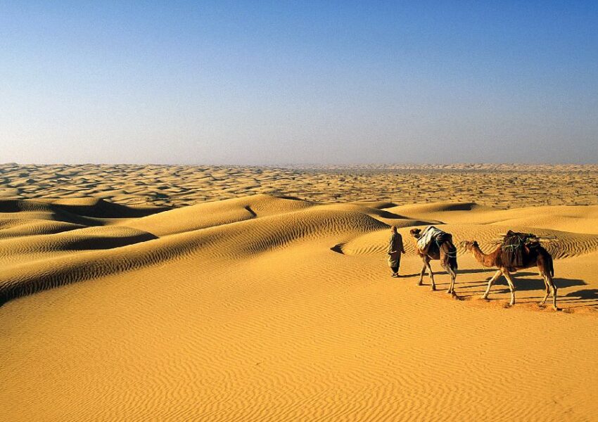 Le Sahara tunisien offre une aventure sans pareille, une expérience qui conjugue beauté naturelle, culture riche et rencontres inoubliables. Envisagez-vous une escapade où le temps semble s'arrêter, où les dunes se déploient à perte de vue et où l'hospitalité des habitants vous enveloppe? Laissez-nous vous guider dans un voyage personnalisé à travers les merveilles du désert tunisien. À la Rencontre des Dunes Dorées Explorez les dunes envoûtantes Plongez au cœur du Sahara tunisien, où les dunes ondulantes et dorées créent un paysage à couper le souffle. Imaginez-vous sillonnant ces étendues immaculées à dos de chameau ou en véhicule tout-terrain, tandis que le soleil teinte le sable d'une palette de couleurs incroyables au lever et au coucher. Expérience authentique de bivouac sous les étoiles Levez les yeux et contemplez le firmament, où les étoiles scintillent comme nulle part ailleurs. Un bivouac dans le désert vous offre une immersion totale dans la magie du Sahara. Découvrez la cuisine locale, partagez des histoires autour du feu de camp et plongez-vous dans l'atmosphère féérique d'une nuit sous les étoiles. Culture et Tradition Rencontre avec les habitants nomades Rencontrez les habitants nomades, découvrez leur mode de vie et laissez-vous séduire par leur hospitalité légendaire. Vous serez accueillis chaleureusement, invités à partager un thé traditionnel et à échanger avec ces communautés qui perpétuent des traditions ancestrales. Découverte des oasis cachées Au milieu du désert, des oasis verdoyantes émergent comme des joyaux cachés. Ces havres de vie abritent une flore et une faune uniques. Plongez-vous dans ces lieux empreints de sérénité, où la vie pulse au rythme de l'eau et des palmiers. Aventure et Exploration Randonnée à travers les gorges et canyons Les gorges et les canyons du Sahara tunisien offrent des panoramas spectaculaires. Laissez-vous émerveiller par les formations rocheuses façonnées par le temps et explorez ces passages étroits qui dévoilent toute la splendeur naturelle du désert. Excursions culturelles et historiques Plongez dans l'histoire ancienne en visitant les sites archéologiques remarquables disséminés dans la région. Des vestiges antiques témoignent de la richesse culturelle et de la diversité historique du Sahara tunisien. Conclusion Votre voyage personnalisé dans le Sahara tunisien est bien plus qu'une simple aventure. C'est une immersion authentique dans un univers fascinant où nature, culture et rencontres se conjuguent pour offrir une expérience inoubliable. Laissez-nous vous guider pour créer des souvenirs uniques et vivre des moments magiques au cœur du désert tunisien.