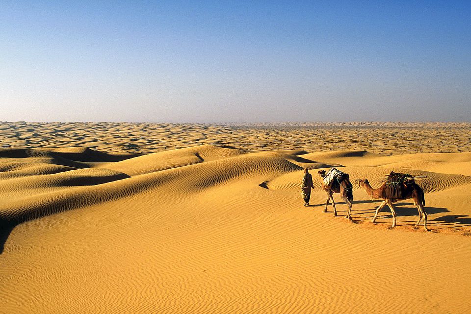 Le Sahara tunisien offre une aventure sans pareille, une expérience qui conjugue beauté naturelle, culture riche et rencontres inoubliables. Envisagez-vous une escapade où le temps semble s'arrêter, où les dunes se déploient à perte de vue et où l'hospitalité des habitants vous enveloppe? Laissez-nous vous guider dans un voyage personnalisé à travers les merveilles du désert tunisien. À la Rencontre des Dunes Dorées Explorez les dunes envoûtantes Plongez au cœur du Sahara tunisien, où les dunes ondulantes et dorées créent un paysage à couper le souffle. Imaginez-vous sillonnant ces étendues immaculées à dos de chameau ou en véhicule tout-terrain, tandis que le soleil teinte le sable d'une palette de couleurs incroyables au lever et au coucher. Expérience authentique de bivouac sous les étoiles Levez les yeux et contemplez le firmament, où les étoiles scintillent comme nulle part ailleurs. Un bivouac dans le désert vous offre une immersion totale dans la magie du Sahara. Découvrez la cuisine locale, partagez des histoires autour du feu de camp et plongez-vous dans l'atmosphère féérique d'une nuit sous les étoiles. Culture et Tradition Rencontre avec les habitants nomades Rencontrez les habitants nomades, découvrez leur mode de vie et laissez-vous séduire par leur hospitalité légendaire. Vous serez accueillis chaleureusement, invités à partager un thé traditionnel et à échanger avec ces communautés qui perpétuent des traditions ancestrales. Découverte des oasis cachées Au milieu du désert, des oasis verdoyantes émergent comme des joyaux cachés. Ces havres de vie abritent une flore et une faune uniques. Plongez-vous dans ces lieux empreints de sérénité, où la vie pulse au rythme de l'eau et des palmiers. Aventure et Exploration Randonnée à travers les gorges et canyons Les gorges et les canyons du Sahara tunisien offrent des panoramas spectaculaires. Laissez-vous émerveiller par les formations rocheuses façonnées par le temps et explorez ces passages étroits qui dévoilent toute la splendeur naturelle du désert. Excursions culturelles et historiques Plongez dans l'histoire ancienne en visitant les sites archéologiques remarquables disséminés dans la région. Des vestiges antiques témoignent de la richesse culturelle et de la diversité historique du Sahara tunisien. Conclusion Votre voyage personnalisé dans le Sahara tunisien est bien plus qu'une simple aventure. C'est une immersion authentique dans un univers fascinant où nature, culture et rencontres se conjuguent pour offrir une expérience inoubliable. Laissez-nous vous guider pour créer des souvenirs uniques et vivre des moments magiques au cœur du désert tunisien.