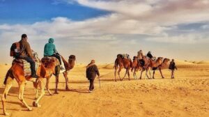 Vous rêvez d'une aventure épique à travers les vastes étendues du désert tunisien sans vous ruiner ? Ne cherchez pas plus loin ! Avec Sahara Tunisie, plongez au cœur du sud tunisien à un prix abordable et vivez des moments inoubliables dans le Sahara. Exploration des Paysages Magnifiques Le Sud Tunisien regorge de paysages à couper le souffle. Des dunes de sable doré aux oasis luxuriantes, chaque coin de cette région offre une beauté naturelle unique. Avec Sahara Tunisie, parcourez ces étendues infinies à bord de nos véhicules tout-terrain et laissez-vous émerveiller par la splendeur du Sahara. Aventure et Découverte Pour les amateurs d'aventure, le Sud Tunisien est un paradis. Explorez des sites emblématiques tels que le désert de Chott el Jerid et les gorges de Selja tout en vous laissant surprendre par la richesse culturelle de la région. Nos circuits sont conçus pour vous offrir une expérience authentique et immersive, loin des sentiers battus. Hébergement Confortable sous les Étoiles Après une journée d'exploration, quoi de mieux que de se détendre sous un ciel étoilé ? Avec Sahara Tunisie, profitez d'un hébergement confortable dans nos camps nomades traditionnels. Vivez l'expérience unique de passer une nuit dans le désert, bercé par le silence et la magie de cet environnement enchanteur. Guides Locaux Expérimentés Chez Sahara Tunisie, nous sommes fiers de nos guides locaux expérimentés. Leur connaissance approfondie du terrain et de la culture locale vous garantit une expérience enrichissante et sécurisée. Ils vous feront découvrir les secrets les mieux gardés du Sahara et vous initieront à la vie nomade. Réservez Votre Aventure Dès Aujourd'hui ! Ne manquez pas l'opportunité de découvrir le Sud Tunisien avec Sahara Tunisie. Que vous voyagiez en solo, en famille ou en groupe, nous avons le circuit parfait pour vous. Contactez-nous dès maintenant pour réserver votre aventure dans le Sahara Tunisien à petit prix ! Contactez-nous pour réserver votre aventure dès aujourd'hui !