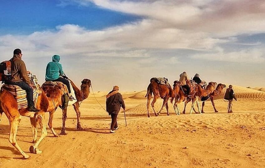 Vous rêvez d'une aventure épique à travers les vastes étendues du désert tunisien sans vous ruiner ? Ne cherchez pas plus loin ! Avec Sahara Tunisie, plongez au cœur du sud tunisien à un prix abordable et vivez des moments inoubliables dans le Sahara. Exploration des Paysages Magnifiques Le Sud Tunisien regorge de paysages à couper le souffle. Des dunes de sable doré aux oasis luxuriantes, chaque coin de cette région offre une beauté naturelle unique. Avec Sahara Tunisie, parcourez ces étendues infinies à bord de nos véhicules tout-terrain et laissez-vous émerveiller par la splendeur du Sahara. Aventure et Découverte Pour les amateurs d'aventure, le Sud Tunisien est un paradis. Explorez des sites emblématiques tels que le désert de Chott el Jerid et les gorges de Selja tout en vous laissant surprendre par la richesse culturelle de la région. Nos circuits sont conçus pour vous offrir une expérience authentique et immersive, loin des sentiers battus. Hébergement Confortable sous les Étoiles Après une journée d'exploration, quoi de mieux que de se détendre sous un ciel étoilé ? Avec Sahara Tunisie, profitez d'un hébergement confortable dans nos camps nomades traditionnels. Vivez l'expérience unique de passer une nuit dans le désert, bercé par le silence et la magie de cet environnement enchanteur. Guides Locaux Expérimentés Chez Sahara Tunisie, nous sommes fiers de nos guides locaux expérimentés. Leur connaissance approfondie du terrain et de la culture locale vous garantit une expérience enrichissante et sécurisée. Ils vous feront découvrir les secrets les mieux gardés du Sahara et vous initieront à la vie nomade. Réservez Votre Aventure Dès Aujourd'hui ! Ne manquez pas l'opportunité de découvrir le Sud Tunisien avec Sahara Tunisie. Que vous voyagiez en solo, en famille ou en groupe, nous avons le circuit parfait pour vous. Contactez-nous dès maintenant pour réserver votre aventure dans le Sahara Tunisien à petit prix ! Contactez-nous pour réserver votre aventure dès aujourd'hui !