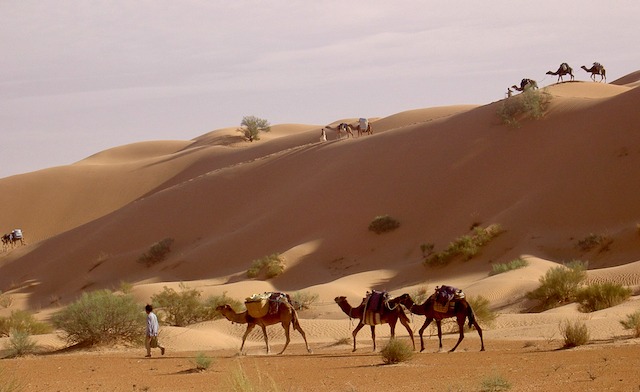 Vous avez toujours rêvé de vivre une expérience unique et authentique dans le désert du Sahara ? Rien de tel qu'une nuit sous tente pour vous plonger dans l'atmosphère envoûtante de ce lieu magique. Dans cet article, nous vous dévoilons tous les secrets pour une nuit sous tente inoubliable au Sahara. Découvrez la Magie du Sahara Le Sahara, avec ses vastes étendues de sable doré et ses ciels étoilés à couper le souffle, est l'endroit idéal pour une escapade mémorable. Imaginez-vous, installé confortablement sous une tente berbère traditionnelle, entouré par le silence majestueux du désert et émerveillé par la beauté des paysages infinis. Une Expérience Authentique avec Sahara Tunisie Chez Sahara Tunisie, nous vous offrons l'opportunité de vivre une expérience authentique au cœur du Sahara. Nos tentes sont soigneusement aménagées pour votre confort, avec des lits douillets, des couvertures chaudes et tout ce dont vous avez besoin pour une nuit paisible sous les étoiles. Une Soirée Magique Sous le Ciel Étoilé Après une journée d'aventure dans le désert, rien de tel qu'une soirée magique sous le ciel étoilé. Laissez-vous enchanter par le spectacle des étoiles scintillantes alors que vous dégustez un délicieux repas berbère préparé par nos soins. Nos guides locaux partageront avec vous des histoires fascinantes sur la culture et les traditions sahariennes. Réservez dès Maintenant votre Nuit Sous Tente Prêt à vivre une expérience inoubliable au Sahara ? Réservez dès maintenant votre nuit sous tente avec Sahara Tunisie et préparez-vous à vivre des moments magiques dans l'un des endroits les plus spectaculaires de la planète. Contactez-nous dès aujourd'hui pour planifier votre escapade désertique et créer des souvenirs qui dureront toute une vie. Ne manquez pas l'occasion de vivre une expérience unique et authentique au Sahara. Réservez dès maintenant votre nuit sous tente avec Sahara Tunisie et préparez-vous à vivre des moments magiques dans l'un des endroits les plus spectaculaires de la planète. Contactez Sahara Tunisie dès aujourd'hui pour réserver votre nuit sous tente et vivre une aventure inoubliable au Sahara.