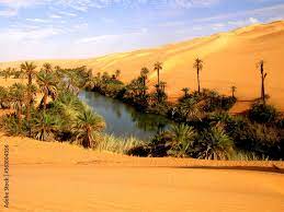 Le désert tunisien est bien plus qu'un simple paysage aride. C'est un monde de mystère, de beauté et d'aventure qui attend d'être découvert. Dans cet article, nous allons plonger dans les merveilles du désert tunisien, en mettant en lumière certains des endroits les plus fascinants du sud du pays. Exploration des Oasis Les oasis du sud tunisien sont des joyaux cachés au milieu du désert. Ces oasis luxuriantes offrent une oasis de fraîcheur et de verdure dans un paysage autrement aride. Parmi les plus célèbres, on trouve les oasis de Tozeur, de Douz et de Nefta. Explorez ces oasis en faisant une promenade à dos de chameau ou en vous promenant à pied à travers les jardins luxuriants. Rencontre avec les Tribus Nomades Le désert tunisien abrite encore de nombreuses tribus nomades qui vivent selon des traditions ancestrales. Rencontrez ces communautés fascinantes et découvrez leur mode de vie unique. Assistez à des démonstrations de tissage de tapis berbères, dégustez un thé traditionnel sous une tente nomade et écoutez les récits captivants des anciens de la tribu. Aventure dans les Dunes de Sable Les dunes de sable du désert tunisien sont parmi les plus spectaculaires au monde. Partez en safari dans le désert et traversez des paysages de dunes sans fin. Que vous soyez amateur de sensations fortes ou simplement en quête de tranquillité, une excursion dans les dunes est une expérience inoubliable. Exploration des Sites Historiques Le désert tunisien regorge de sites historiques fascinants qui témoignent de son riche passé. Visitez les ruines romaines de Dougga, inscrites au patrimoine mondial de l'UNESCO, explorez les anciennes cités troglodytes de Matmata et découvrez les vestiges des forts berbères qui parsèment le paysage. Conclusion Le désert tunisien est une destination magique qui offre une expérience unique à ceux qui osent s'aventurer dans ses étendues infinies. Que vous soyez passionné par l'aventure, la culture ou simplement à la recherche de paysages à couper le souffle, le désert tunisien ne manquera pas de vous émerveiller. Pour plus d'informations sur les voyages dans le désert tunisien et pour planifier votre propre aventure, n'hésitez pas à nous contacter. Nous sommes là pour vous aider à organiser un voyage inoubliable dans ce coin fascinant du monde. Contactez-nous dès aujourd'hui pour commencer votre voyage dans le désert tunisien ! Contactez-nous